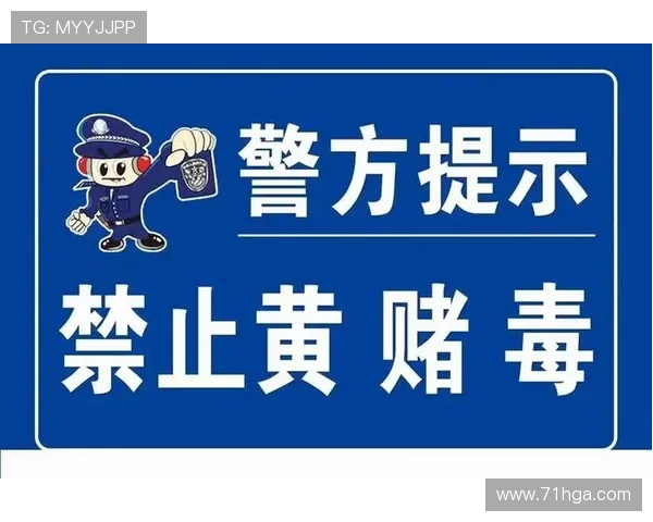 博彩网站的法律法规及合规性问题探讨